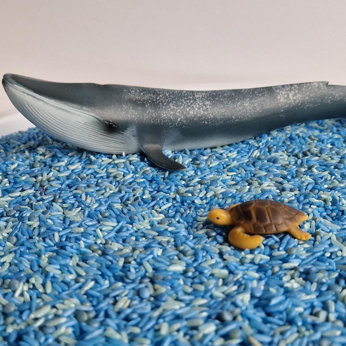 Sea / Seaside / Under the Sea