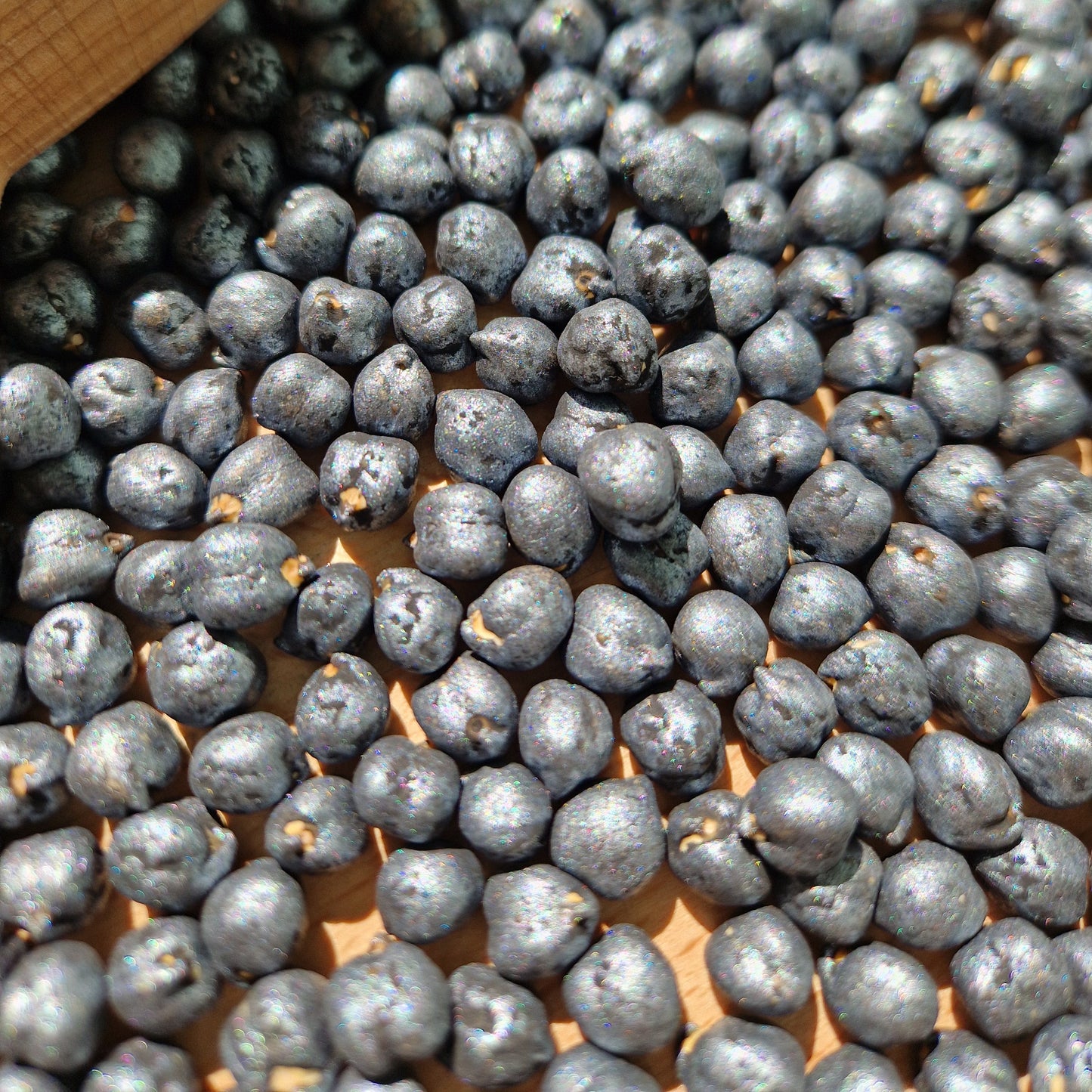 Metalic Black Shiny Sensory Play Chickpeas