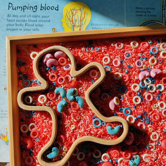 B+ ( B Positive Blood Type ) Sensory Play Base