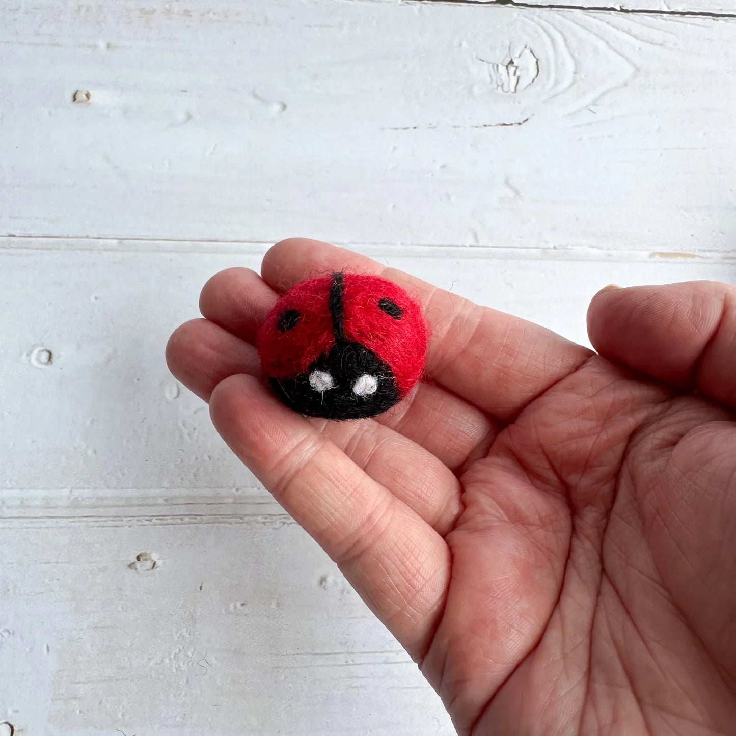 Felt Ladybird / LadyBug