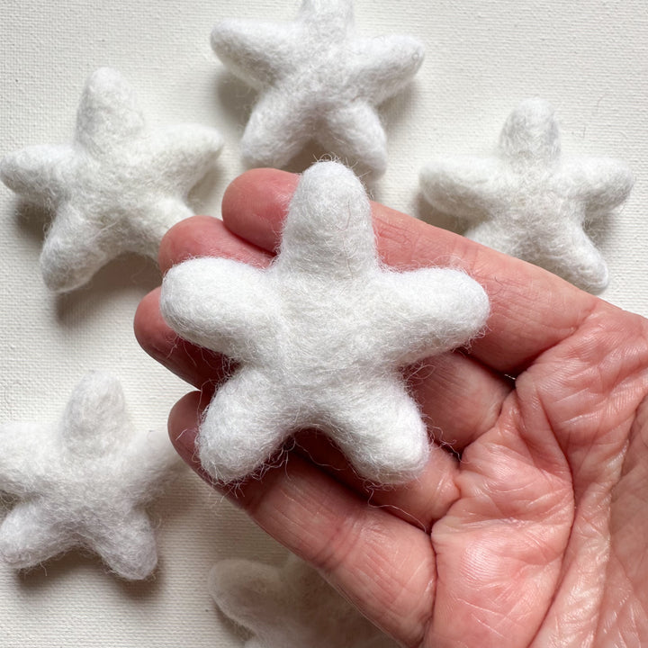 Felt Star