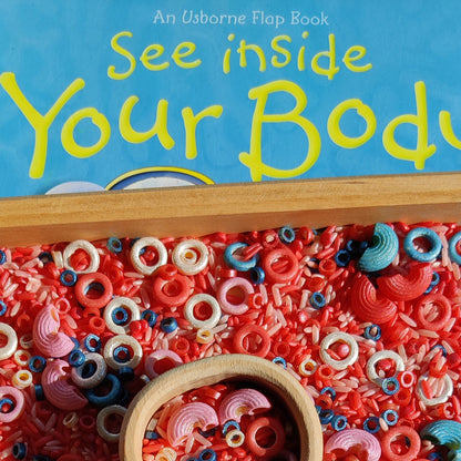B+ ( B Positive Blood Type ) Sensory Play Base