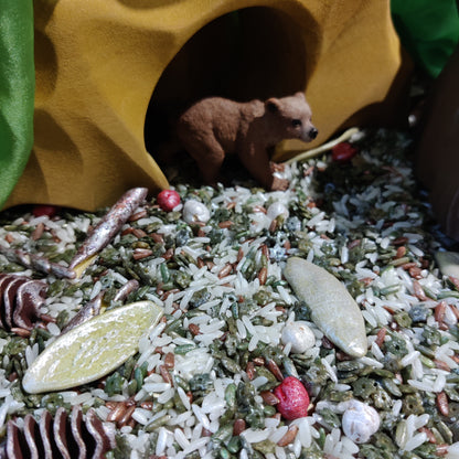 Frosty Woodland Base