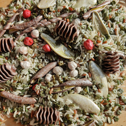 Frosty Woodland Base